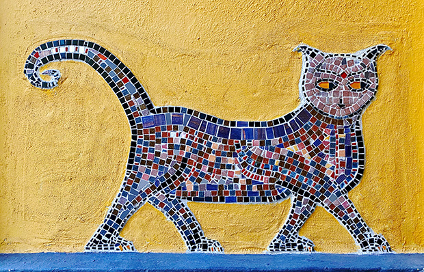 Buntes Mosaik einer Katze auf gelbem verputzten Stein.