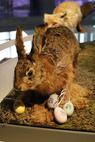 Am Osterwochenende suchen Kinder Eier in der Dauerausstellung des smac. Foto: Annelie Blasko