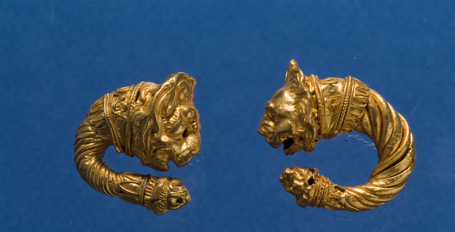 Auf blauem Hintergrund liegen zwei goldene, halbkreisförmige Ohrringe mit Löwenköpfen