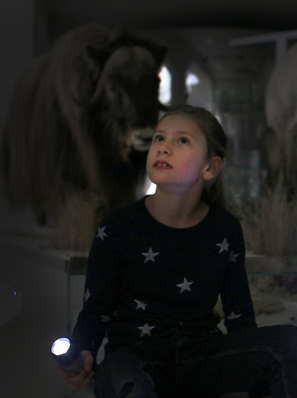Zwei Kinder leuchten im dunklen Museum mit Taschenlampen.