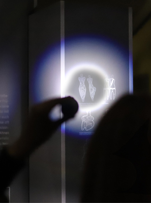 In einem dunklen Raum sieht man im Vordergrund den Schatten eines Kopfes. Die Person leuchtet mit einer Taschenlampe Zeichnungen von vorgeschichtlichen Fruchtbarkeitsstatuetten an.